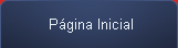 Página Inicial